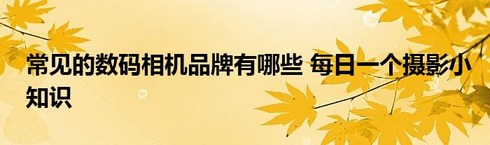 常见的数码相机品牌有哪些 每日一个摄影小知识