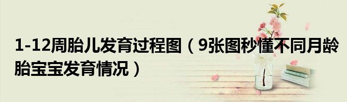 1-12周胎儿发育过程图(9张图秒懂不同月龄胎宝宝发育情况)