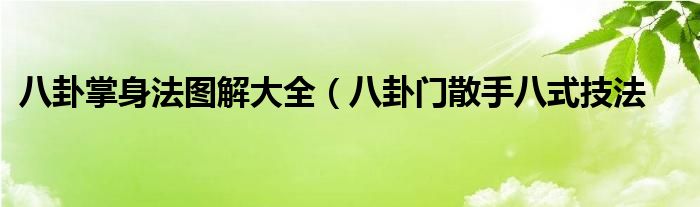 八卦掌身法图解大全(八卦门散手八式技法