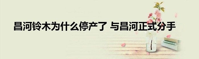 昌河铃木为什么停产了 与昌河正式分手
