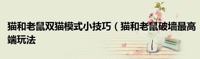 猫和老鼠双猫模式小技巧(猫和老鼠破墙最高端玩法