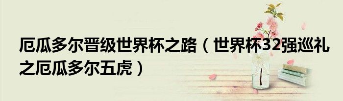 厄瓜多尔晋级世界杯之路(世界杯32强巡礼之厄瓜多尔五虎)