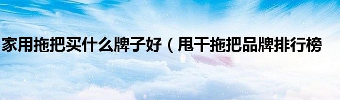 家用拖把买什么牌子好(甩干拖把品牌排行榜