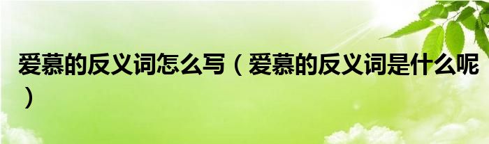爱慕的反义词怎么写(爱慕的反义词是什么呢)