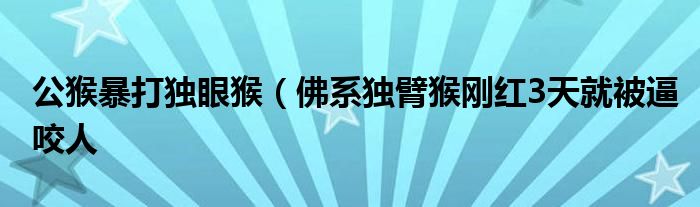 公猴暴打独眼猴(佛系独臂猴刚红3天就被逼咬人