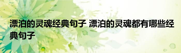 漂泊的灵魂经典句子 漂泊的灵魂都有哪些经典句子