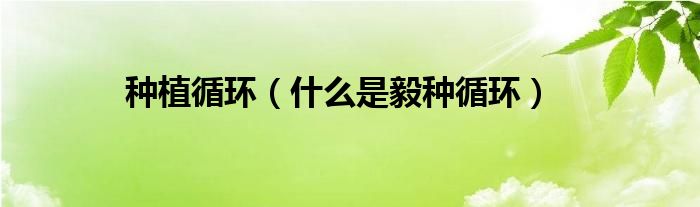 种植循环(什么是毅种循环)