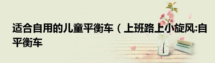 适合自用的儿童平衡车(上班路上小旋风:自平衡车