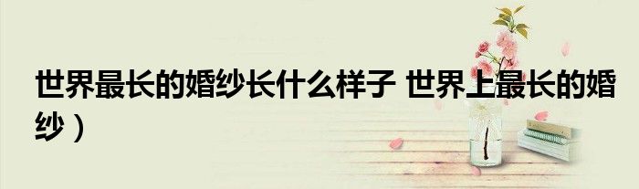 世界最长的婚纱长什么样子 世界上最长的婚纱)