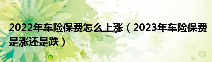 2022年车险保费怎么上涨(2023年车险保费是涨还是跌)