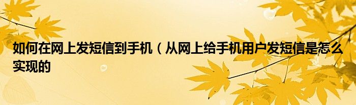 如何在网上发短信到手机(从网上给手机用户发短信是怎么实现的