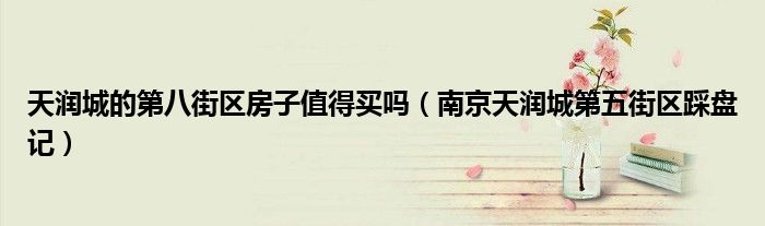 天润城的第八街区房子值得买吗(南京天润城第五街区踩盘记)