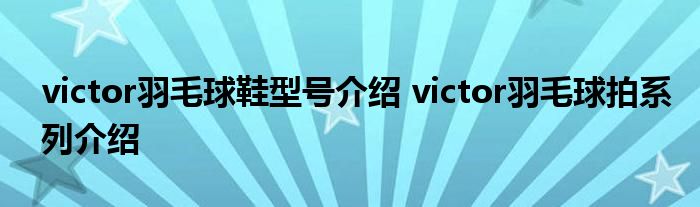 victor羽毛球鞋型号介绍 victor羽毛球拍系列介绍