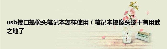 usb接口摄像头笔记本怎样使用(笔记本摄像头终于有用武之地了