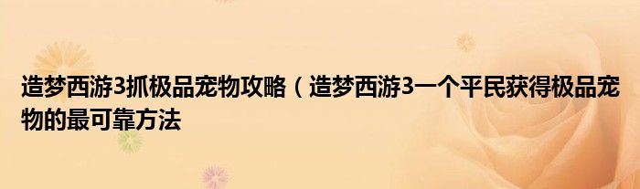 造梦西游3抓极品宠物攻略(造梦西游3一个平民获得极品宠物的最可靠方法