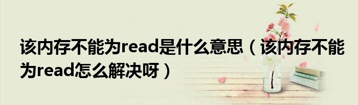 该内存不能为read是什么意思(该内存不能为read怎么解决呀)