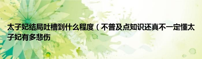 太子妃结局吐槽到什么程度(不普及点知识还真不一定懂太子妃有多悲伤