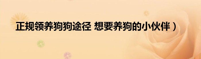 正规领养狗狗途径 想要养狗的小伙伴)