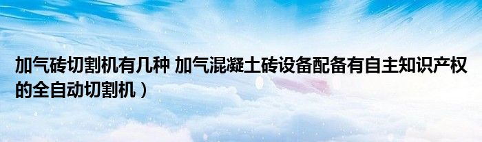 加气砖切割机有几种 加气混凝土砖设备配备有自主知识产权的全自动切割机)
