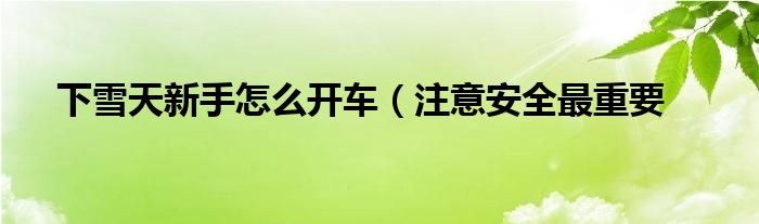下雪天新手怎么开车（注意安全最重要
