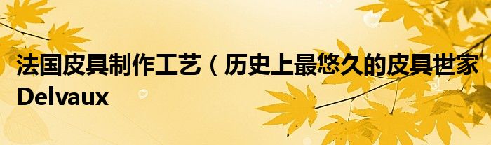 法国皮具制作工艺(历史上最悠久的皮具世家Delvaux