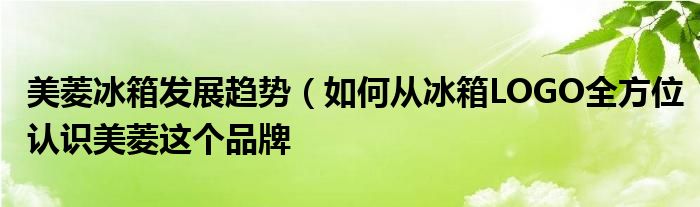 美菱冰箱发展趋势(如何从冰箱LOGO全方位认识美菱这个品牌