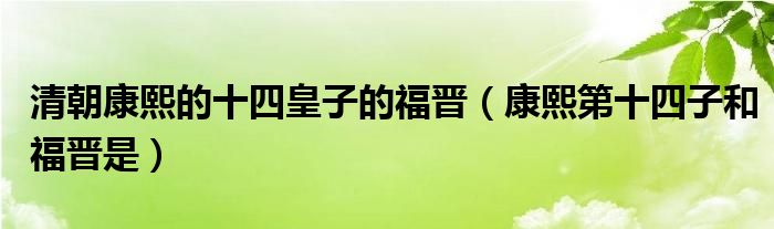 清朝康熙的十四皇子的福晋(康熙第十四子和福晋是)