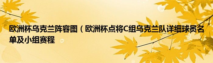 欧洲杯乌克兰阵容图(欧洲杯点将C组乌克兰队详细球员名单及小组赛程