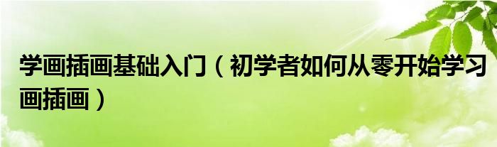 学画插画基础入门(初学者如何从零开始学习画插画)