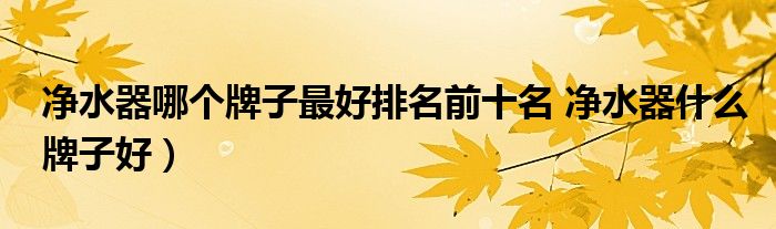 净水器哪个牌子最好排名前十名 净水器什么牌子好)