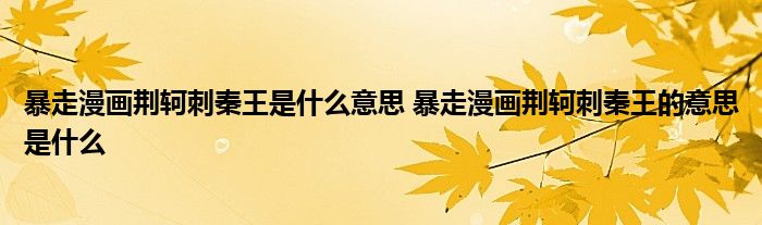 暴走漫画荆轲刺秦王是什么意思 暴走漫画荆轲刺秦王的意思是什么