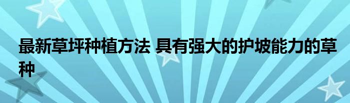 最新草坪种植方法 具有强大的护坡能力的草种