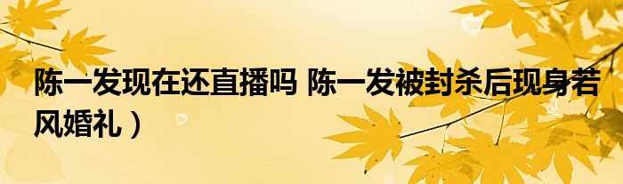 陈一发现在还直播吗 陈一发被封杀后现身若风婚礼)