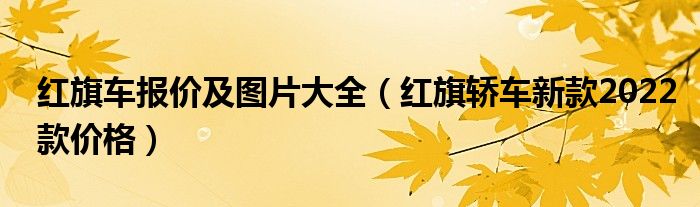 红旗车报价及图片大全(红旗轿车新款2022款价格)