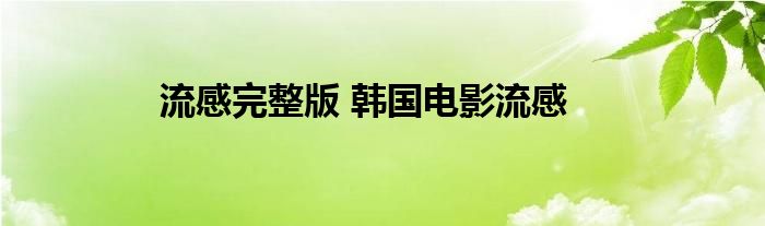 流感完整版 韩国电影流感
