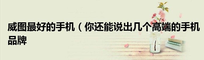 威图最好的手机(你还能说出几个高端的手机品牌