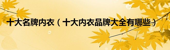 十大名牌内衣(十大内衣品牌大全有哪些)