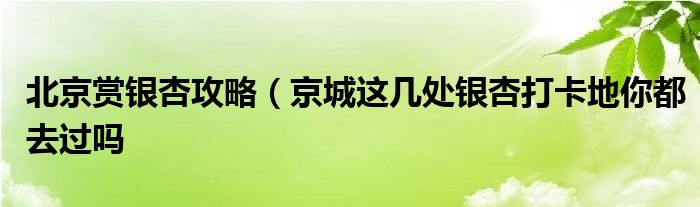 北京赏银杏攻略(京城这几处银杏打卡地你都去过吗