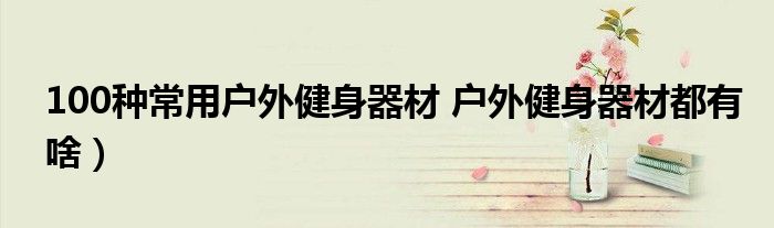 100种常用户外健身器材 户外健身器材都有啥)