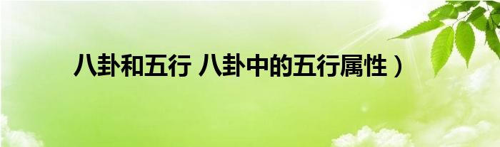 八卦和五行 八卦中的五行属性)