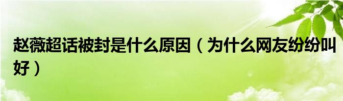 赵薇超话被封是什么原因(为什么网友纷纷叫好)
