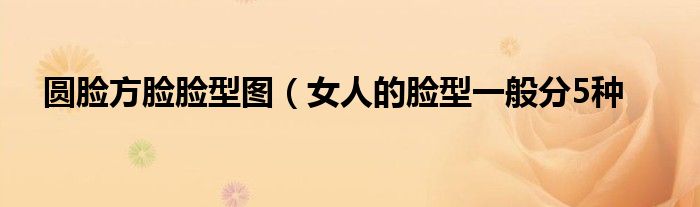 圆脸方脸脸型图(女人的脸型一般分5种