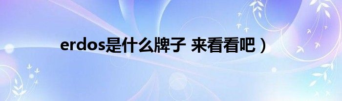 erdos是什么牌子 来看看吧)