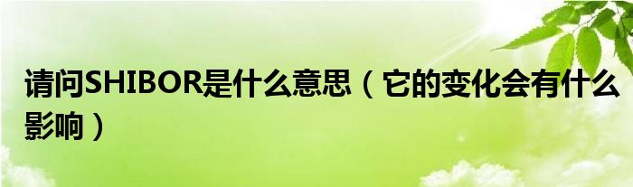请问SHIBOR是什么意思(它的变化会有什么影响)