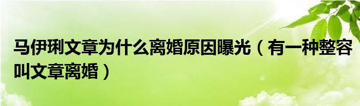 马伊琍文章为什么离婚原因曝光(有一种整容叫文章离婚)