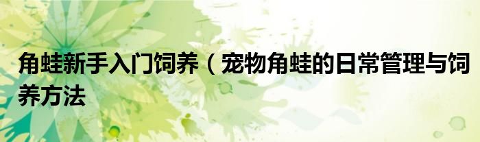 角蛙新手入门饲养(宠物角蛙的日常管理与饲养方法