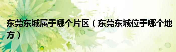 东莞东城属于哪个片区(东莞东城位于哪个地方)