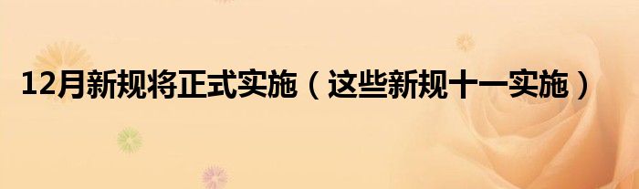 12月新规将正式实施(这些新规十一实施)