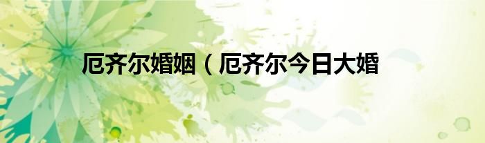 厄齐尔婚姻(厄齐尔今日大婚