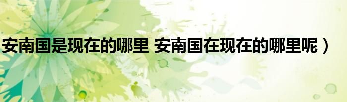 安南国是现在的哪里 安南国在现在的哪里呢)